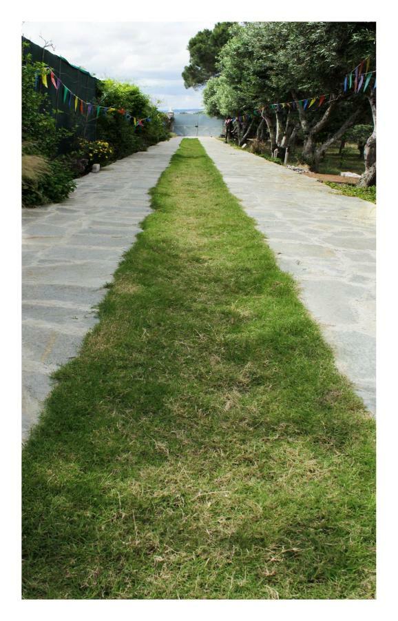 Il Giardino Di Rosy Villa Su Forti Ngoại thất bức ảnh